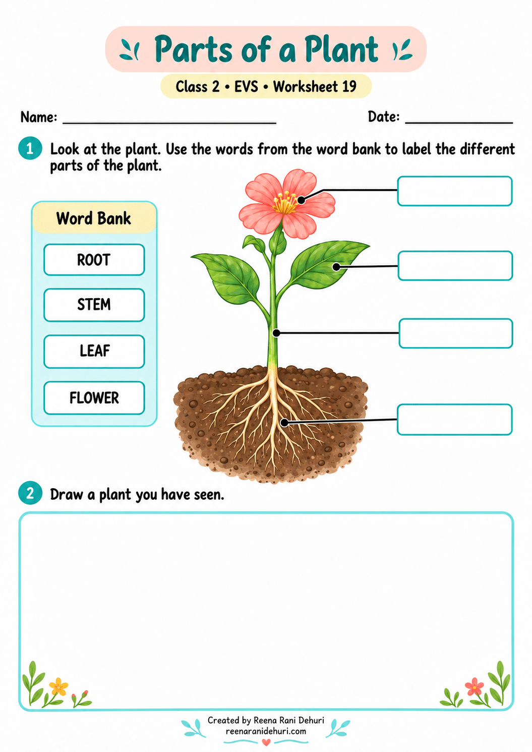 Parts of a plant learning worksheet